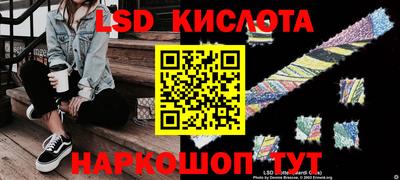 дживик Кингисепп