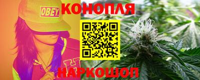 дживик Кингисепп